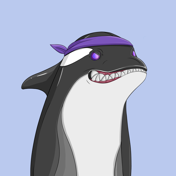 Orcas Odyssey's avatar