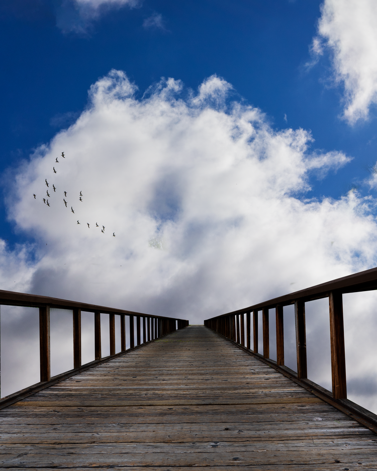 Image of Bridge to Clouds