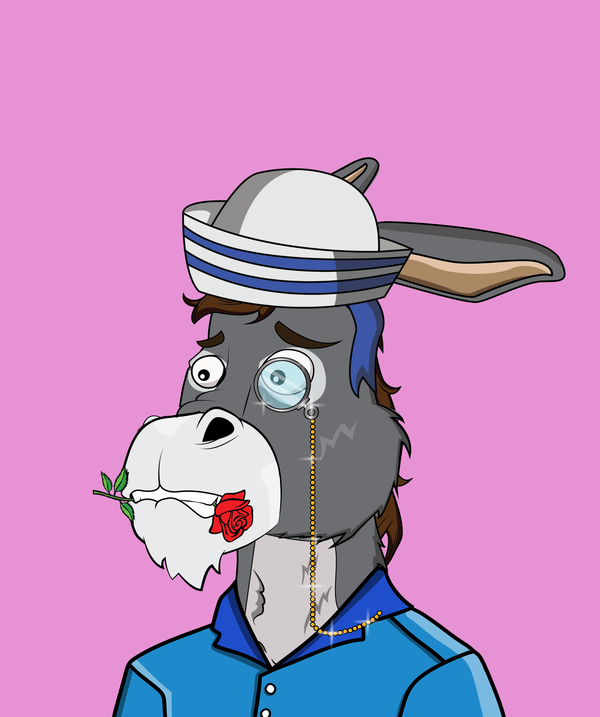 An image of Donkey 15