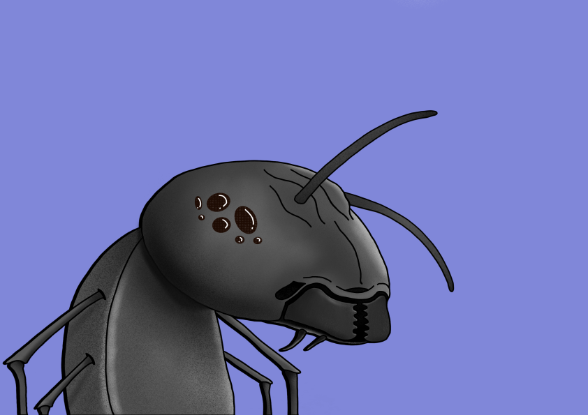 Algo Ant 497 NFT on Algorand