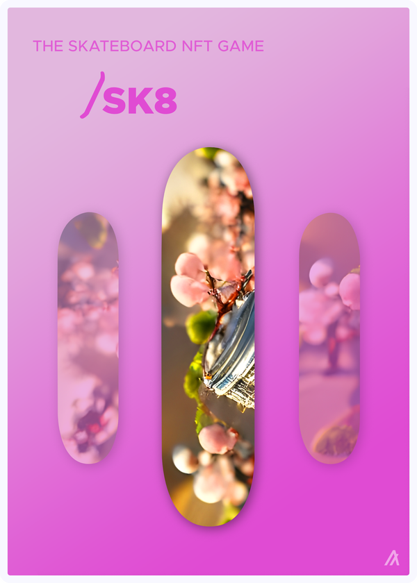 Image of SK8 Deck #024