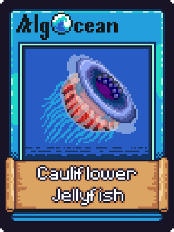 Image of Cauliflower Jellyfish