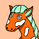 Image of STUPIDHORSE 013