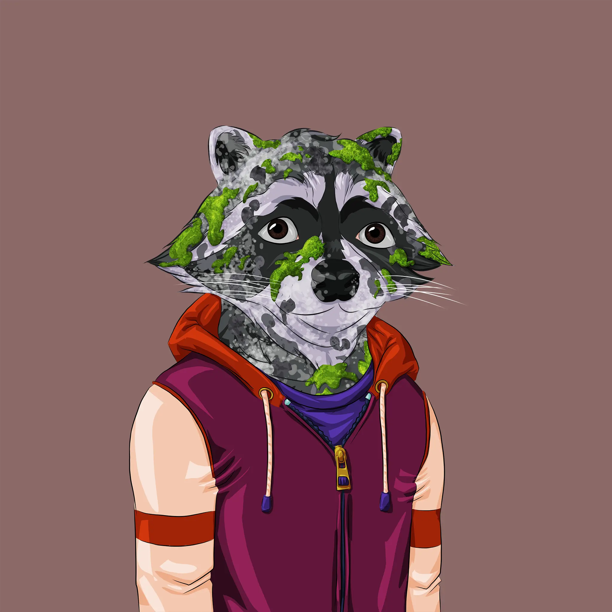 Image of AlgoRaccoon #354