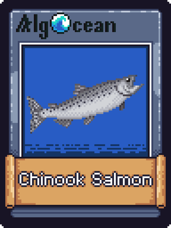 Image of Chinook Salmon