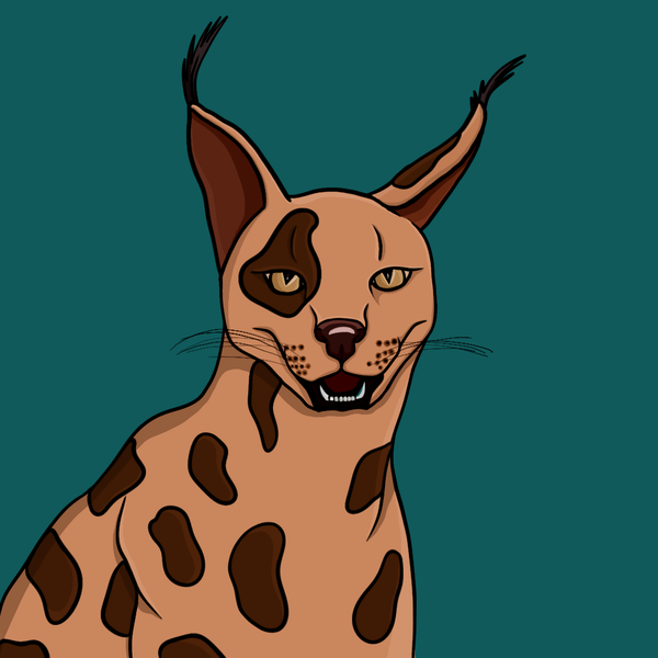 An image of Lince The Cat #7