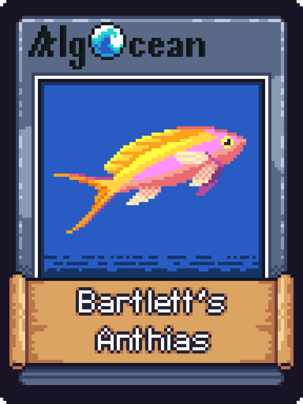 An image of Bartletts Anthias