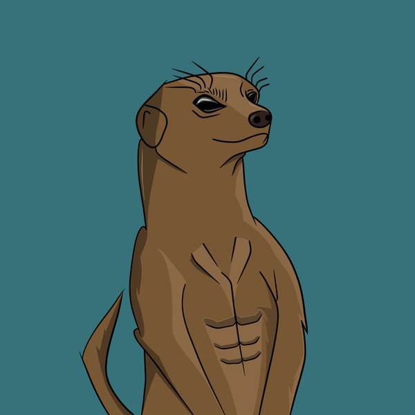 An image of Meerkat #005