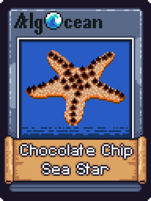 Image of Choc Chip Sea Star