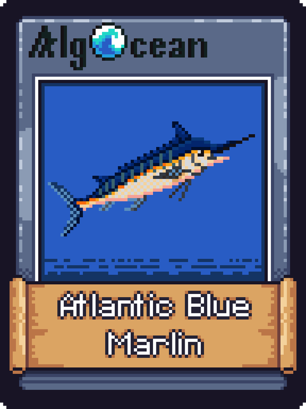 An image of Atlantic Blue Marlin