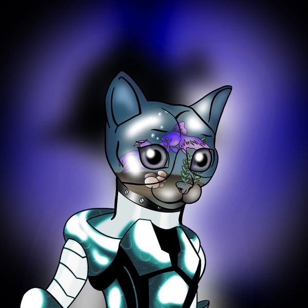 An image of Bubbles The Feline