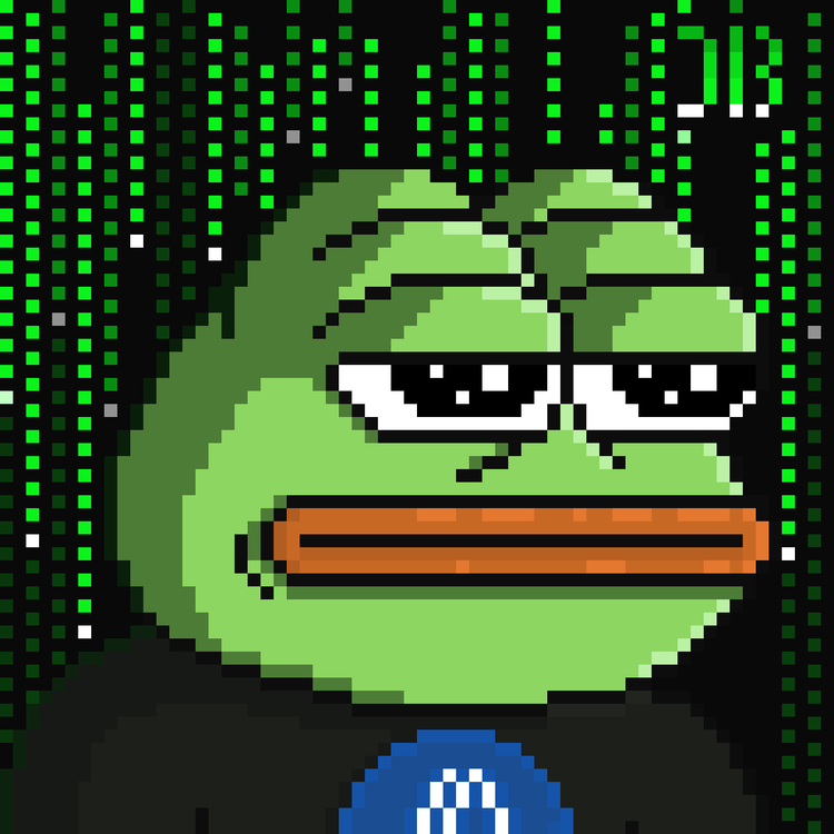 Image of PIXEL PEPE 1/1 #048