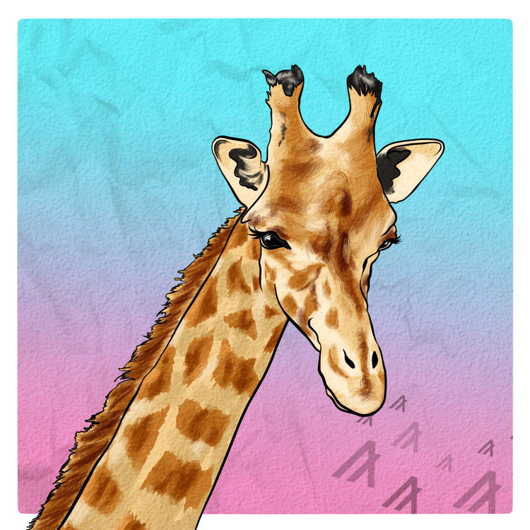 Image of GIRASA #009