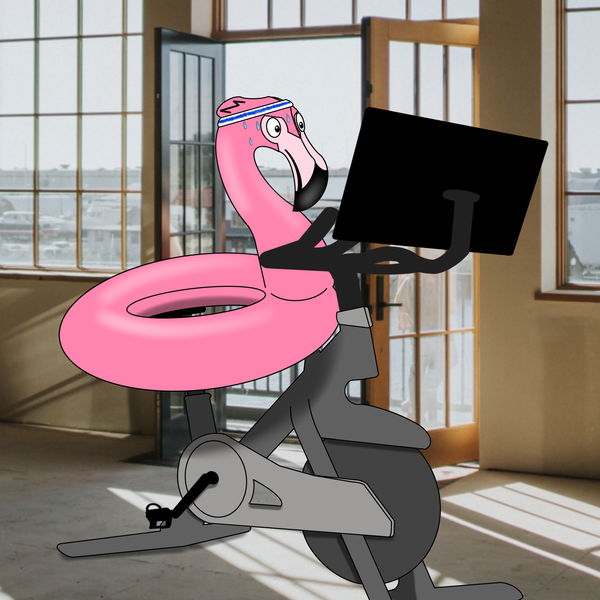 Image of Flamingo Adventures #31