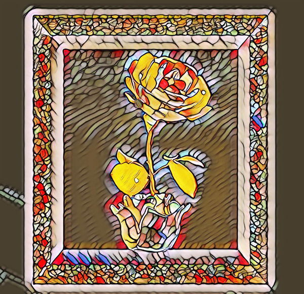 Image of Stained glass rose