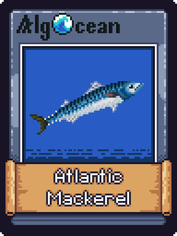 An image of Atlantic Mackerel