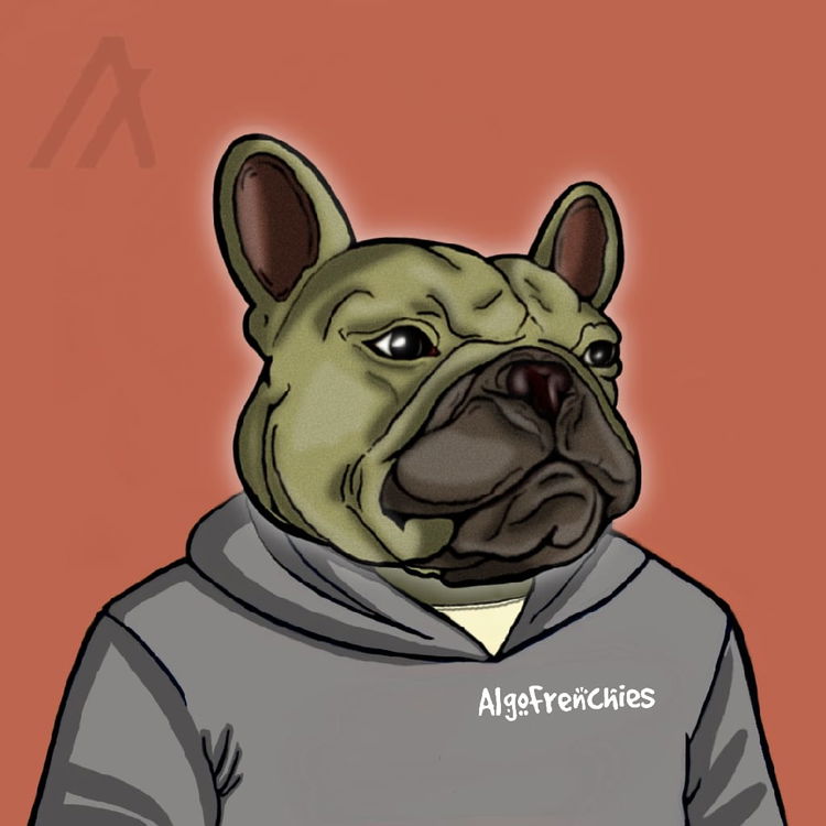 Image of Algo Frenchies #43 Sammy