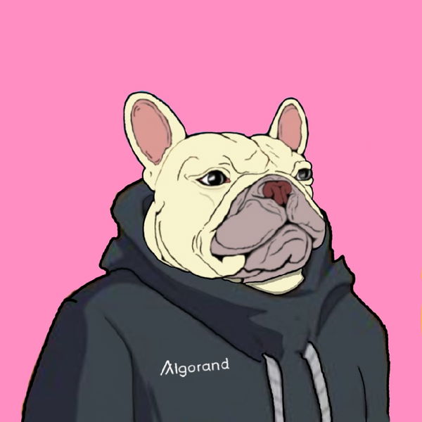 An image of Algo Frenchie #6 Cosywosy