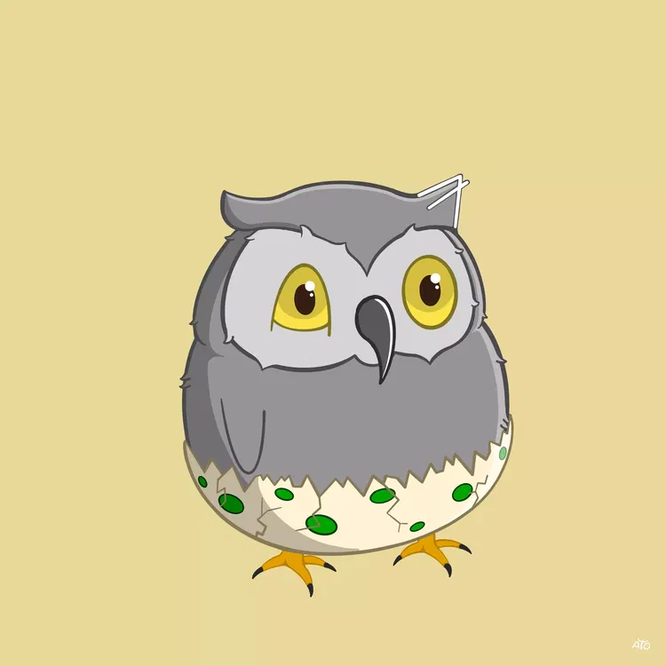 Baby Hoot Group's avatar