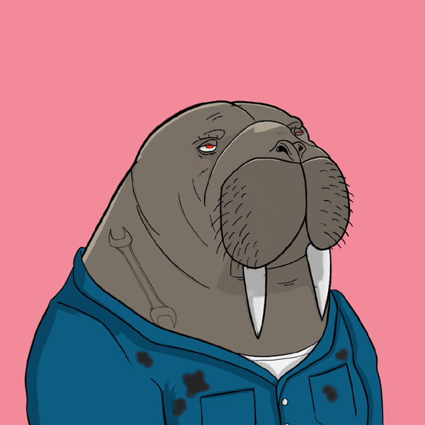 An image of GANG OF WALRUSES #68