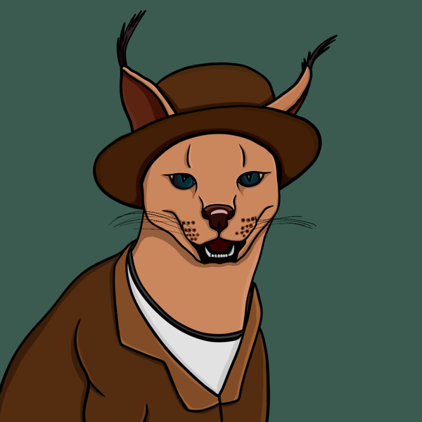 An image of Lince The Cat #10