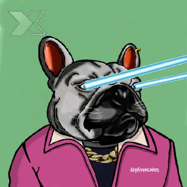 An image of Algo Frenchie #62 Baxter Vibe