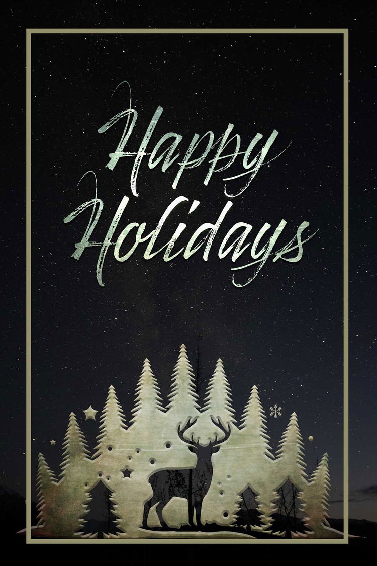 Image of Holiday Greetings #3