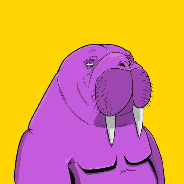 Image of GANG OF WALRUSES #50