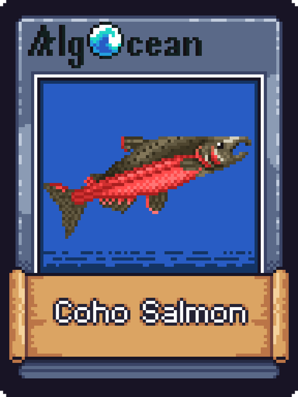 Image of Coho Salmon