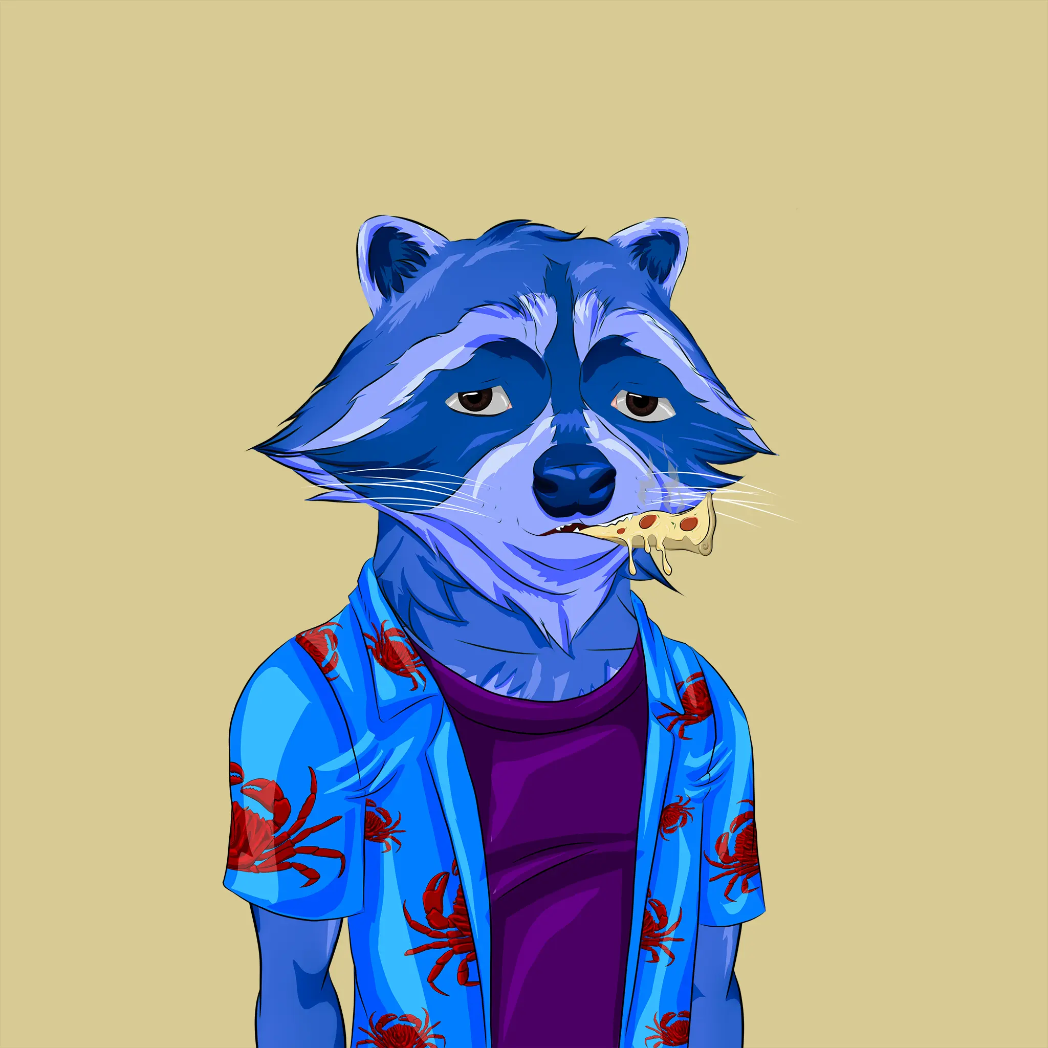 Image of AlgoRaccoon #798