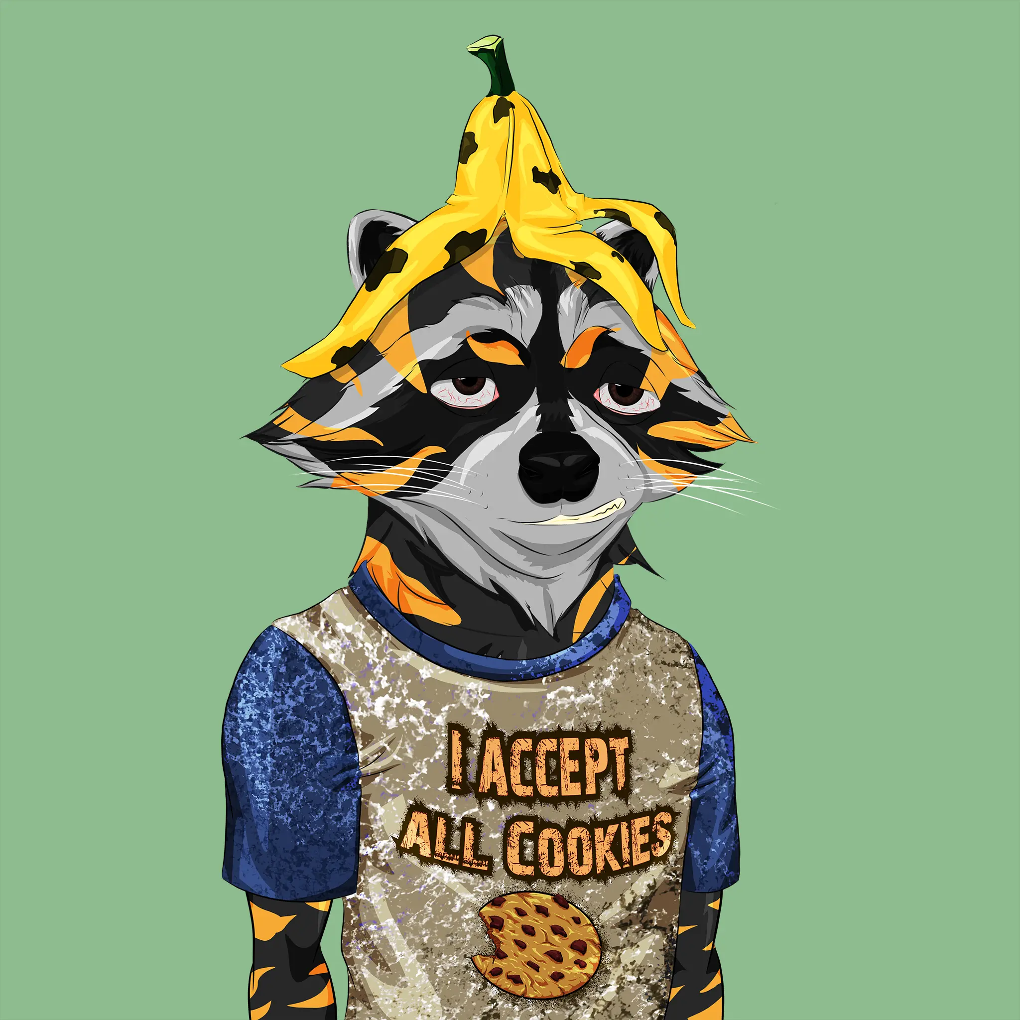 Image of AlgoRaccoon #951