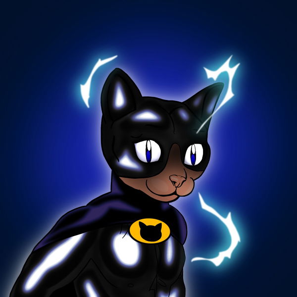 An image of BatCat The Feline