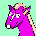 An image of STUPIDHORSE 012