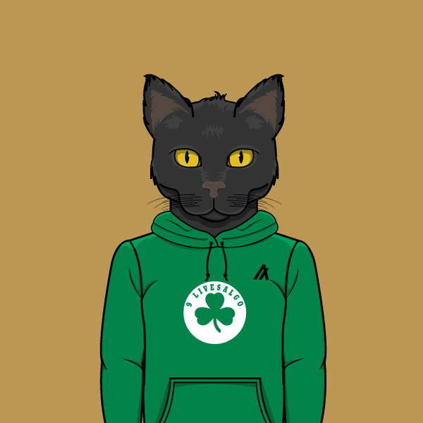 An image of 9Lives Algo Celtics Hoodie #205