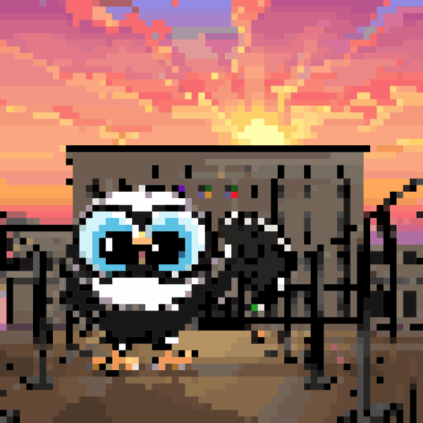 Image of pixelOwl 050