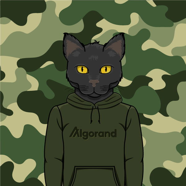 An image of 9Lives Algo Hoodie V2 #01