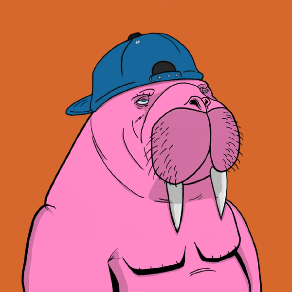 Image of GANG OF WALRUSES #41