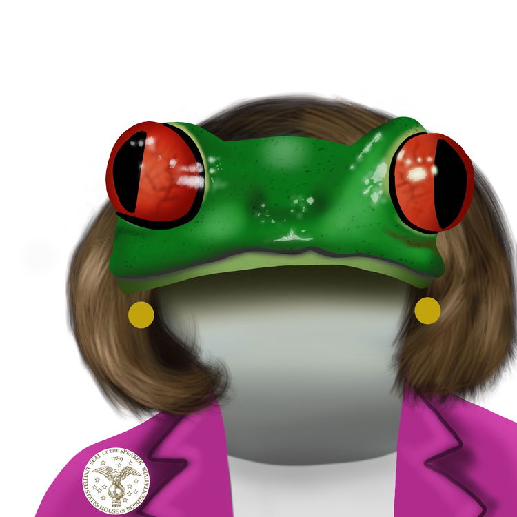 Image of FroggyPersonality Nancy Pelosi