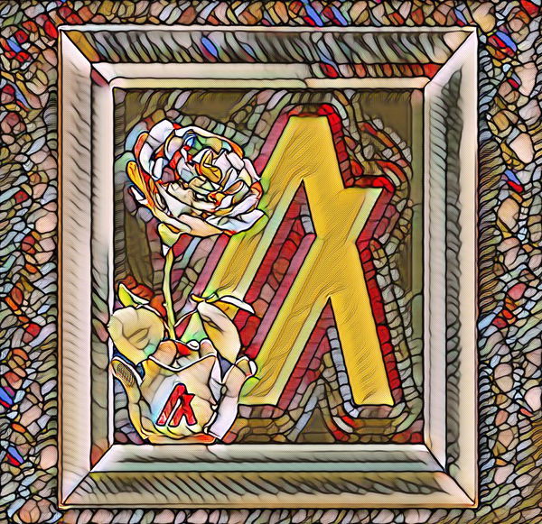 Image of Stained glass algorose