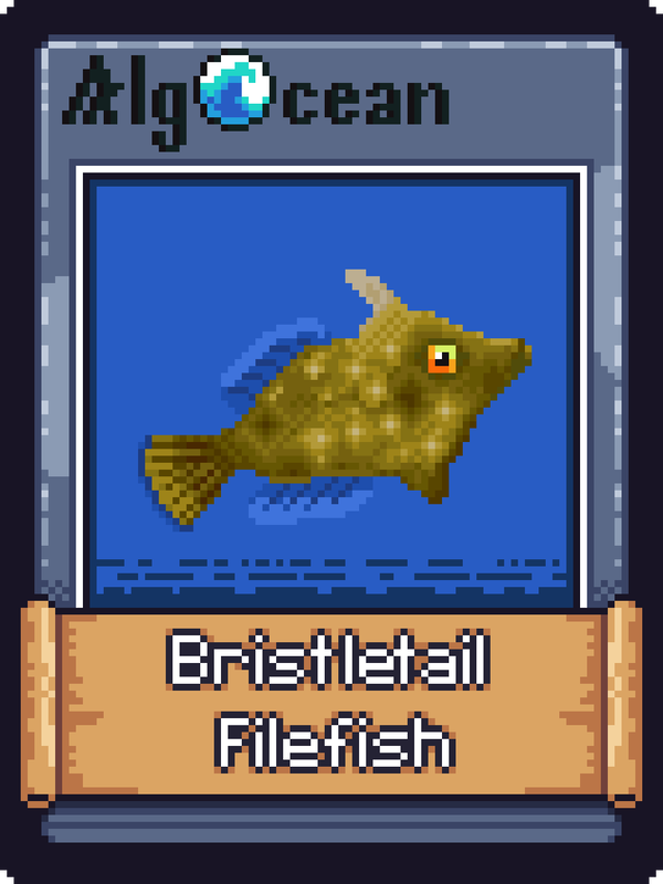 Image of Bristletail Filefish