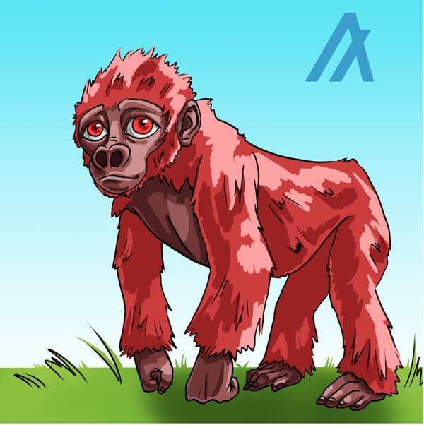 An image of (Red)Babyrilla