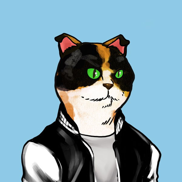 Image of Dope Cat#0007