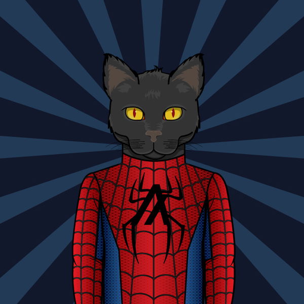 Image of 9Lives Algo Spidercat #208