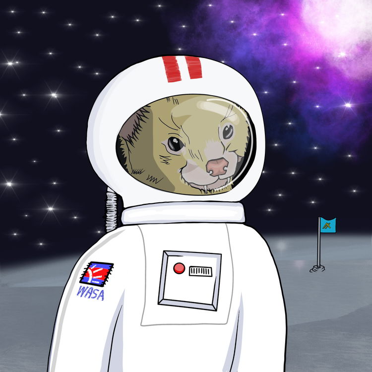 Image of The Astronaut Weasel