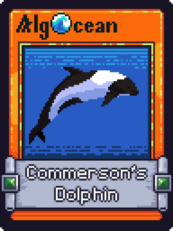 Image of Commersons Dolphin