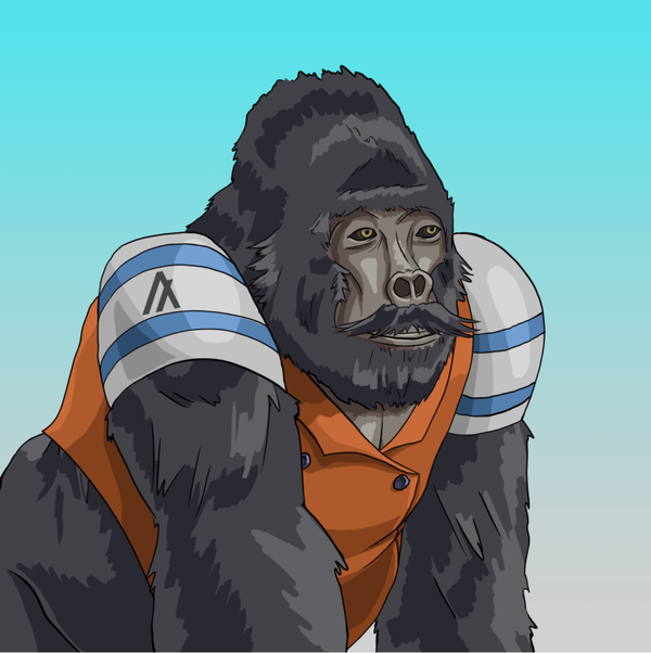 Image of (Scallywag)Algorilla#24