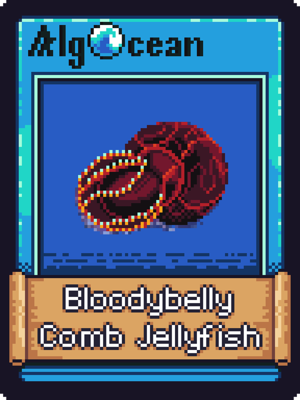 Image of Bloodbelly Comb Jellyfish