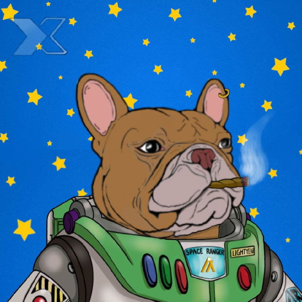 Image of Algo Frenchies #22 Buzz frenchie