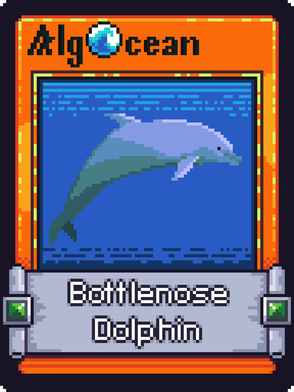 Image of Bottlenose Dolphin