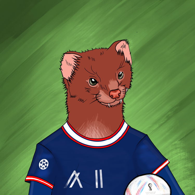 Image of The Soccer Weasel